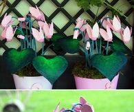 How To Make Flowers From Egg Cartons