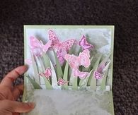 How To Make A Pop Out Butterfly Card