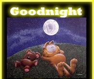 Good Night Friend