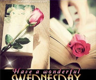 Have a wonderful Wednesday