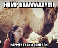 Hump Day