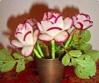 How To Make Flower Radishes