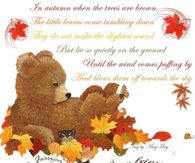 Have a lovely fall my friends...