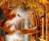 Autumn Blessings