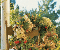 Autumn Wreath hanging off a Chair