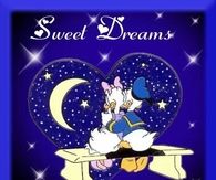 Sweet Dreams