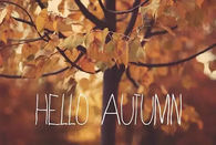 Hello autumn