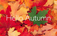 Hello autumn