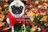 Hello autumn