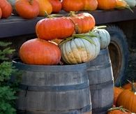 Pumpkins