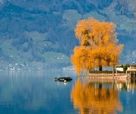 Autumn on the Water