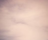 Pink Autumn