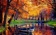 Beautiful Glittery Fall Day