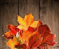 Leaf vase