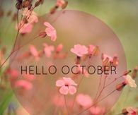 Hello October