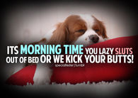 Its morning time
