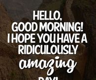 I hope you have a ridiculously amazing day
