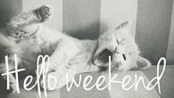 Hello Weekend