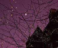 Halloween tree lights