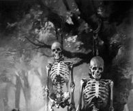 Hanging skeletons