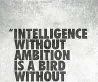 Intelligence without ambition