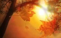 Herbst