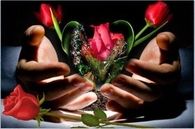 Liebe