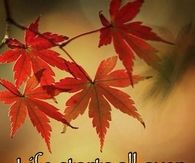 Life starts all over again when it gets crisp in the fall...