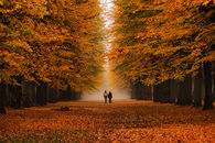Love in the Fall