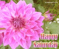 Happy Saturday