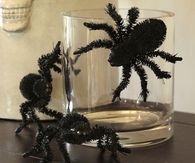 Spider decoration