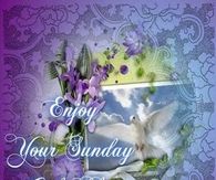 Enjoy Your Sunday