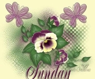 Sunday