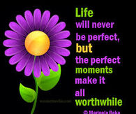 Life will never be perfect, but the perfect moments make it worthwhile