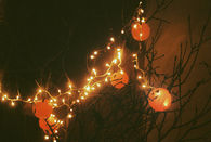 Pumpkin Lights