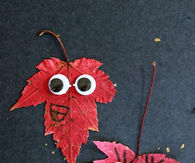 Leaf peepers