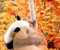 Hello October