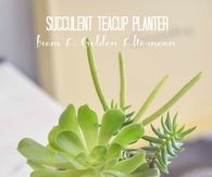 Succulent Teacup Planter