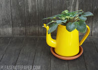 DIY Upcycled Pitcher Planter