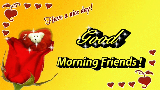 Good Morning Friends Have a Nice Day