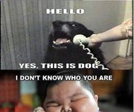 I will find you