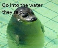 They Say lololol