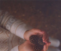 Pinecones