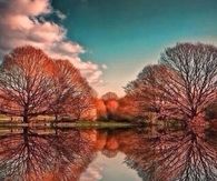 Welcome Fall 