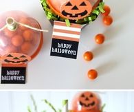 Halloween Mini Pumpkins