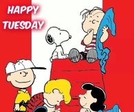 Happy Tuesday