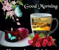 Good morning have a beautiful day