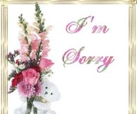 I'm Sorry