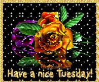 Have a Nice Tuesday