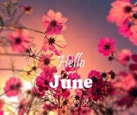 hello june